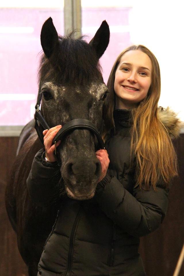 Welsh Cob (sec D) Silva - 7. marts 2014 billede 4