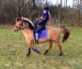 Anden særlig race Nelly billede 15