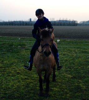 Anden særlig race Nelly billede 2