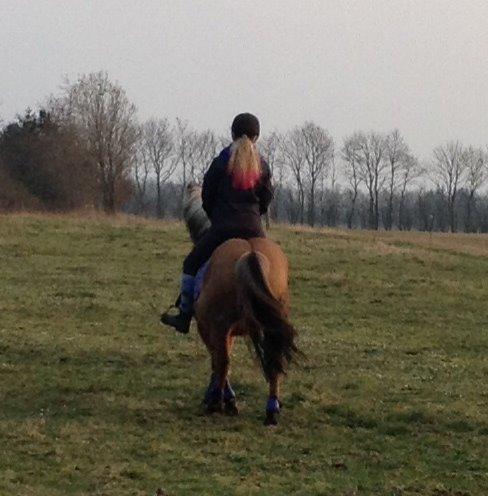 Anden særlig race Nelly billede 16