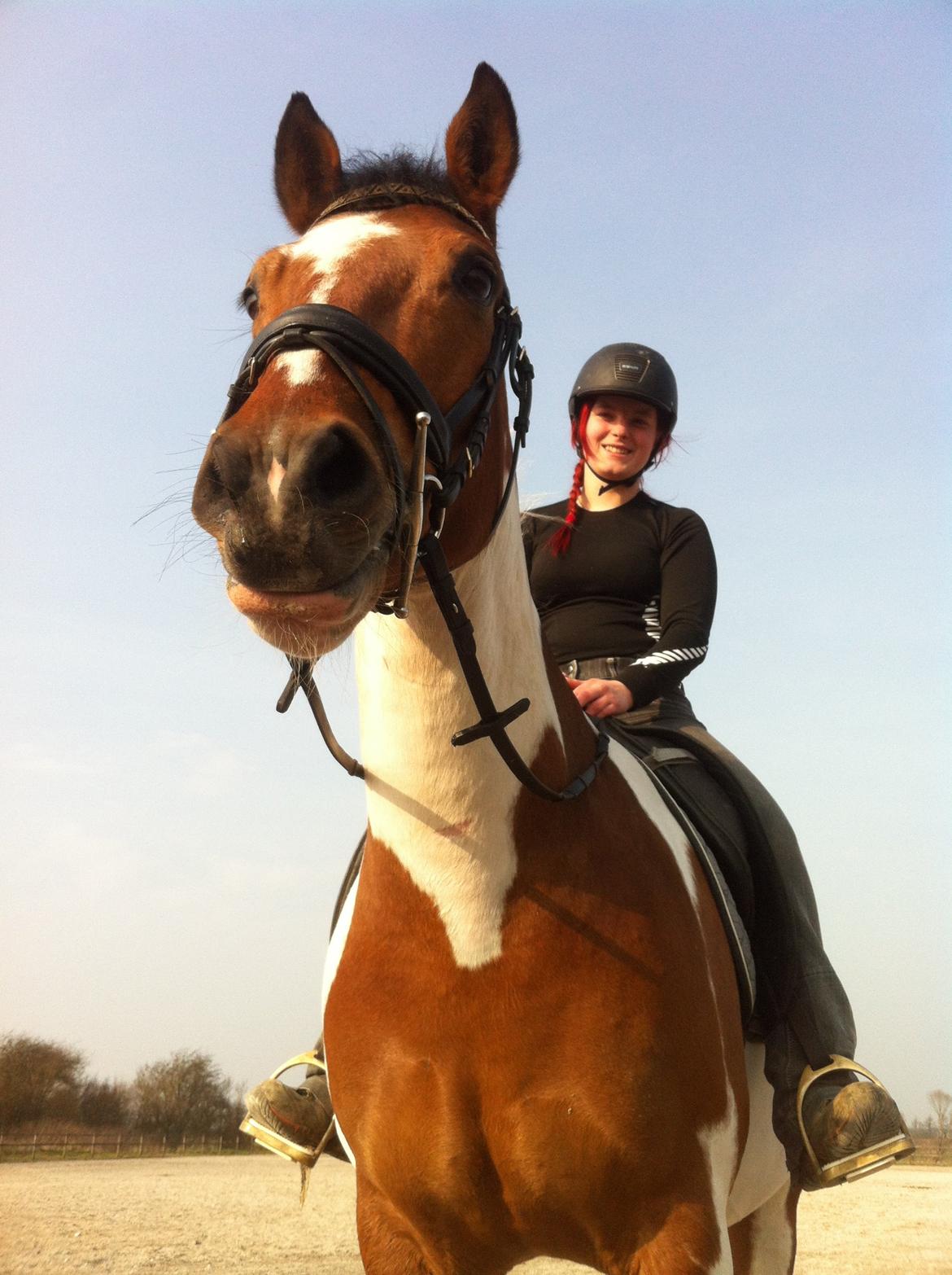 Anden særlig race Xelon - Pernille og Xelon. Sødt par! billede 20