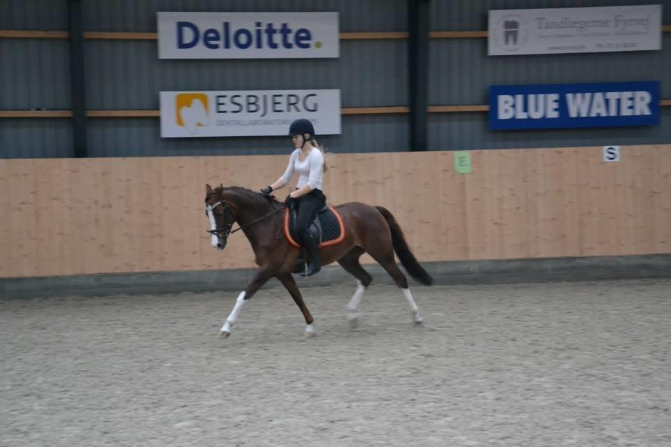 DSP La Rosa <3 billede 11