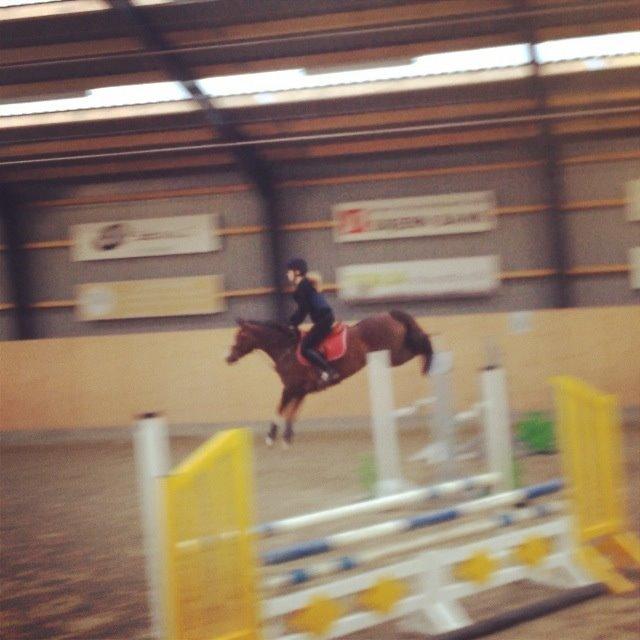 DSP La Rosa <3 billede 9