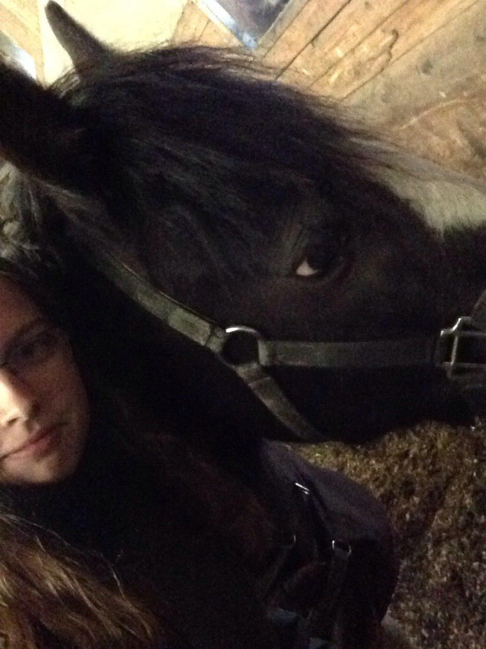 Tinker Toby (den bedste) billede 15