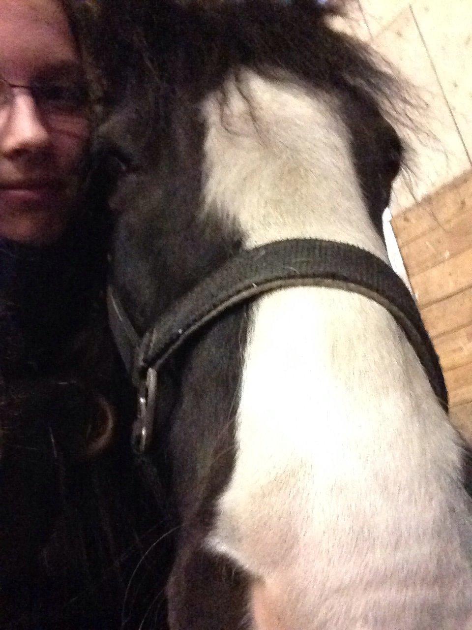 Tinker Toby (den bedste) billede 16