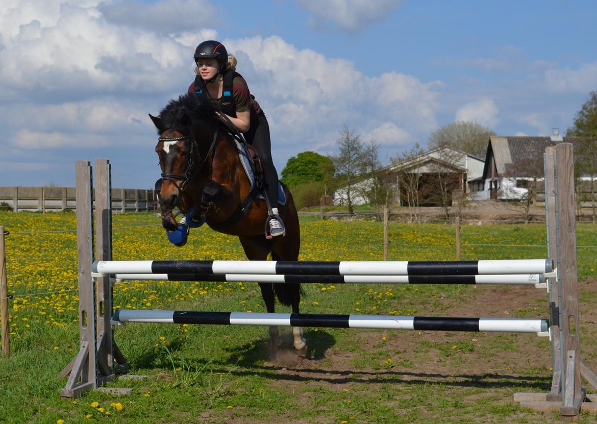 New Forest Feldholm's Penny billede 1