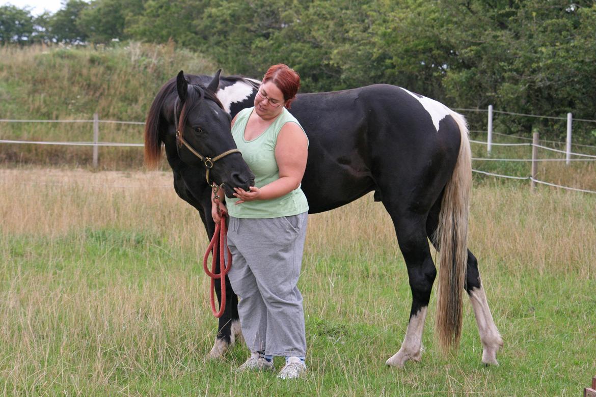 Tennessee Walker Joyful Mr. Forest Walker billede 19