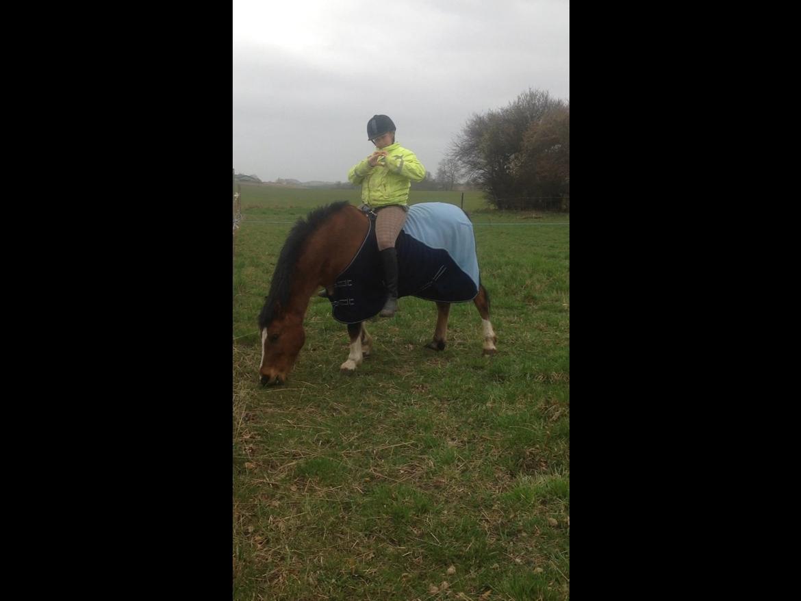 Anden særlig race Play boy *plypper* *my Best frinds for ever* BFF - Rider uden udstyr<3 billede 4