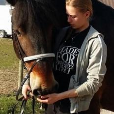 Belgier Bormosens Rollo