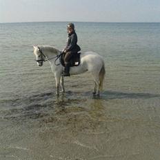 Connemara Barholts Blue Cocktail