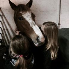 Pinto Lushira Højgård (Lusi)