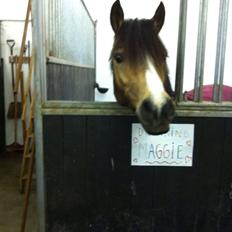 Anden særlig race Damgårds Maggie