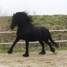 Frieser Tjetske fan de deen