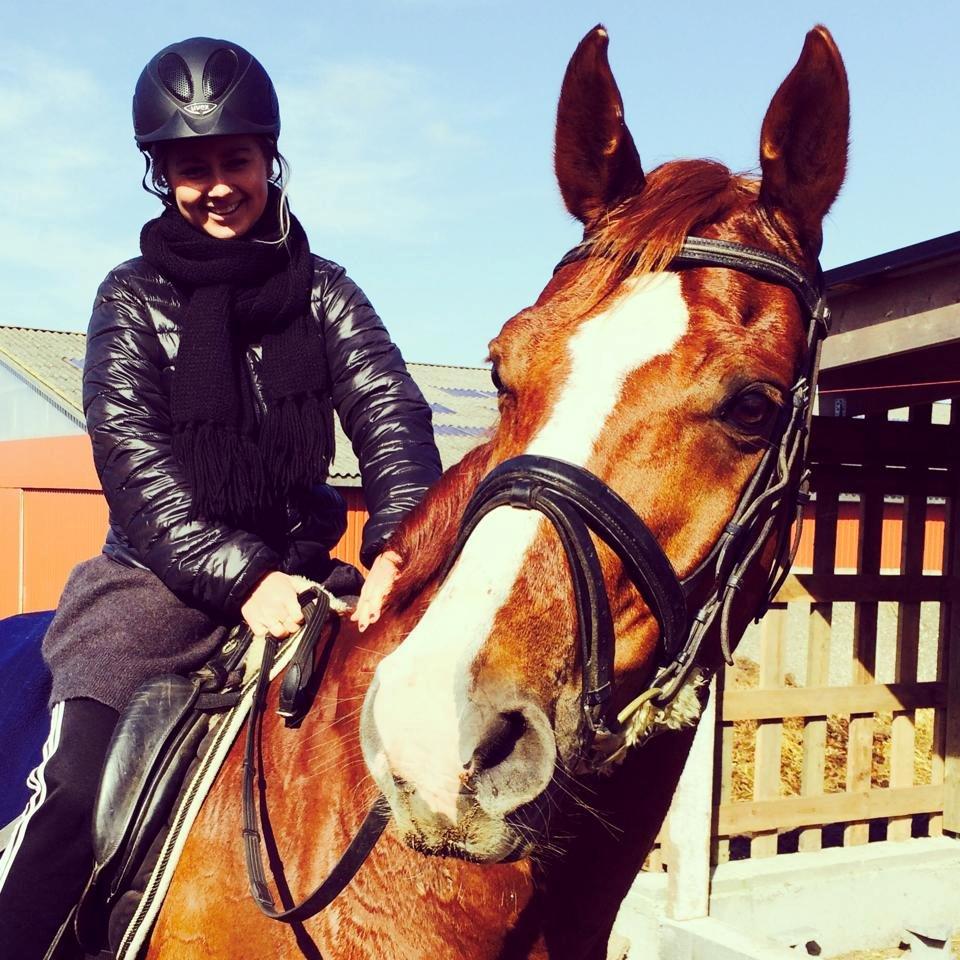 Hannoveraner Welsche Welt billede 5