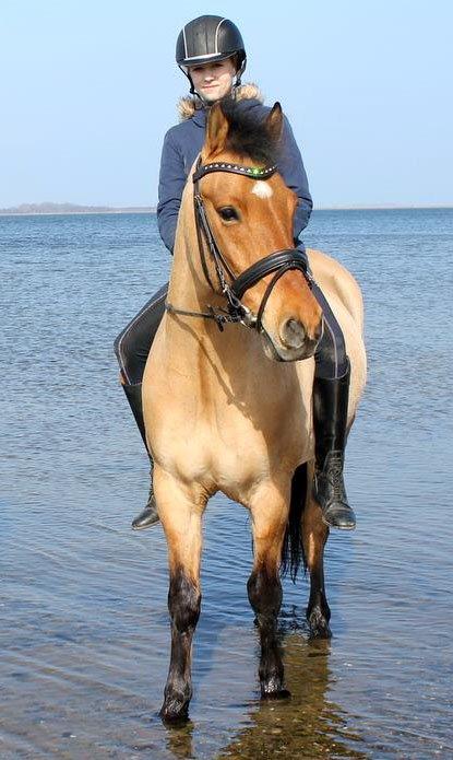 Anden særlig race Bayli  - Velkommen forbi smuksakken Bayli! <3 billede 3