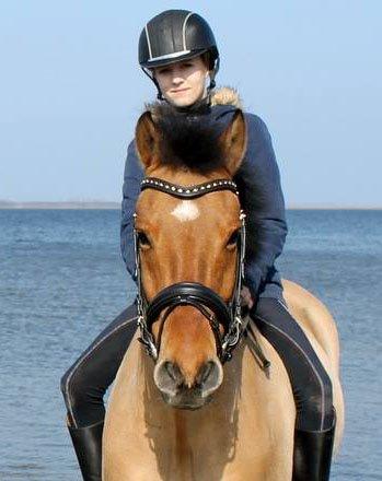 Anden særlig race Bayli  - Smuksakkerne <3 billede 4