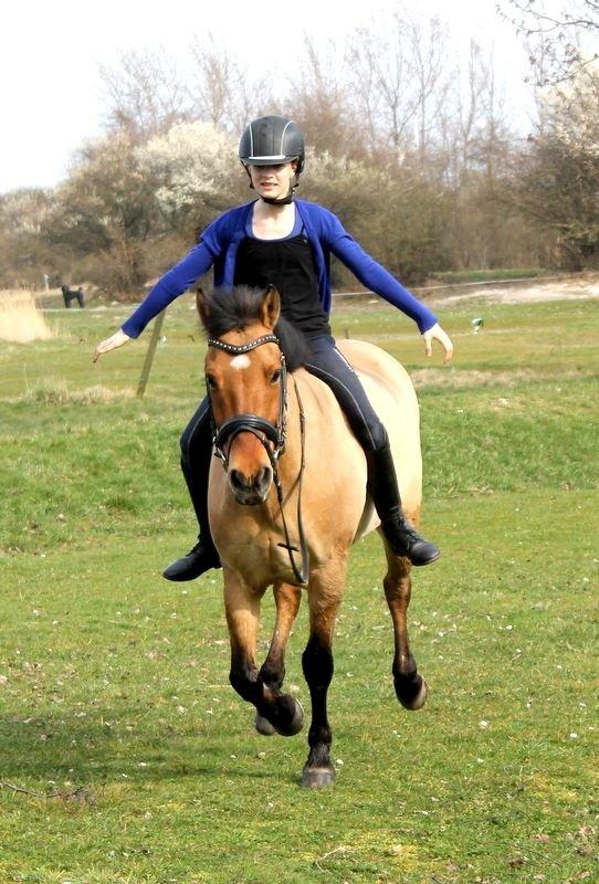 Anden særlig race Bayli  - We can fly togther <3 billede 7