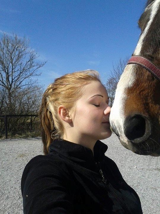 Traver Ferrari Hoff billede 14