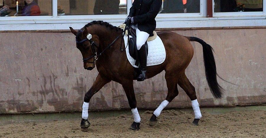 DSP Klintens earl (sendt hjem) billede 7