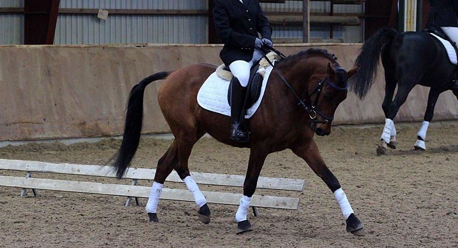 DSP Klintens earl (sendt hjem) billede 8