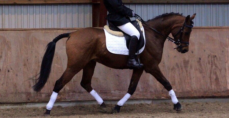 DSP Klintens earl (sendt hjem) billede 10