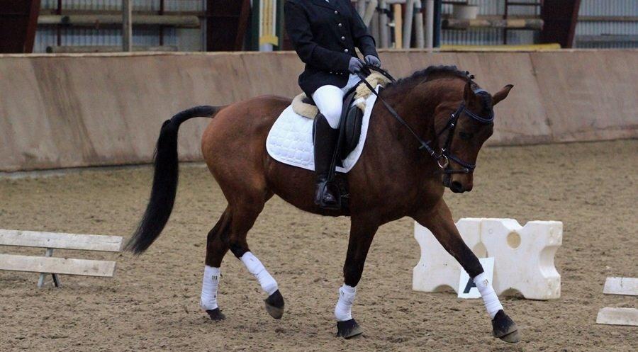 DSP Klintens earl (sendt hjem) billede 9