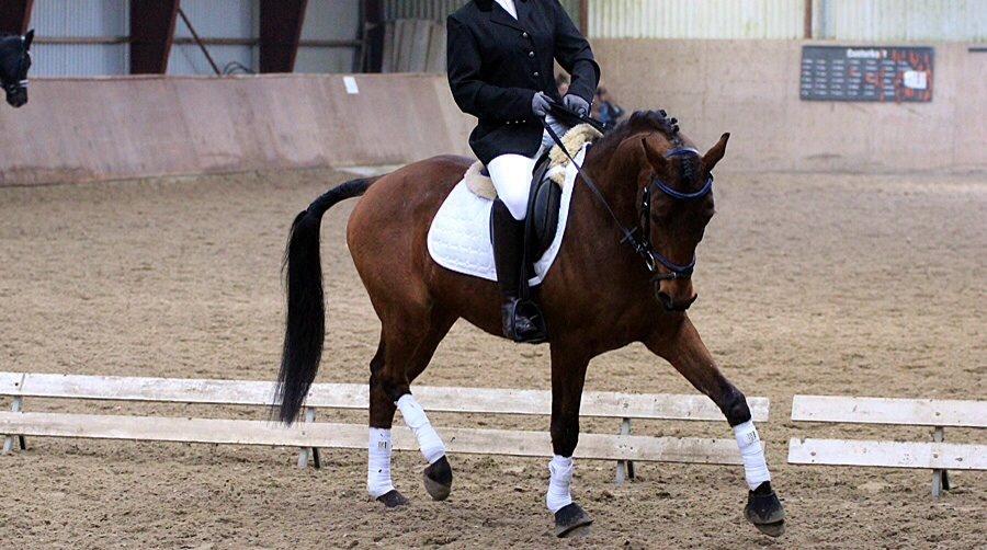 DSP Klintens earl (sendt hjem) billede 6