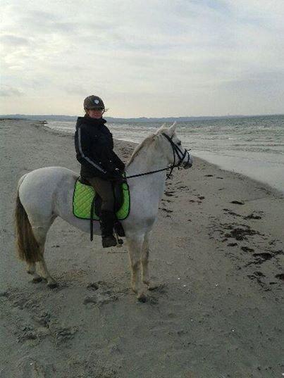 Connemara Barholts Blue Cocktail - Uha vand kan være farligt;-) billede 7