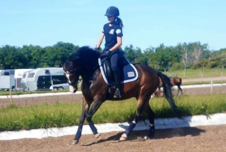 DSP Gondeur billede 1