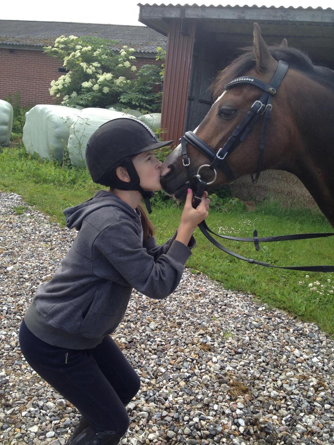 DSP Gondeur billede 3