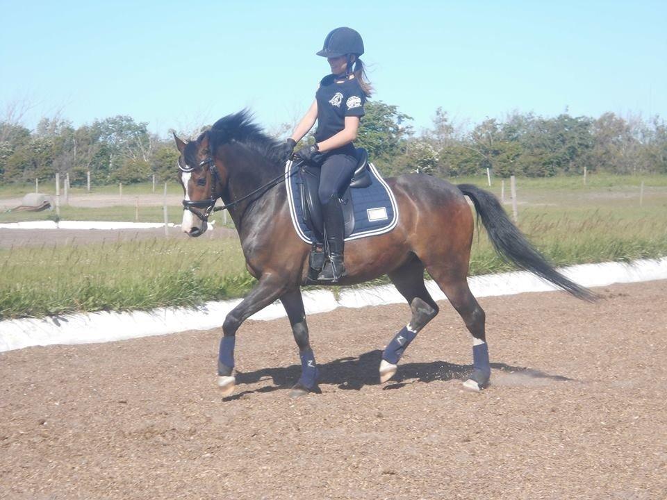 DSP Gondeur billede 5