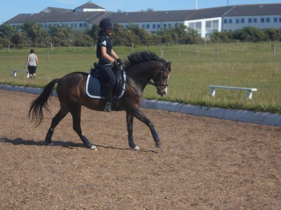 DSP Gondeur billede 6