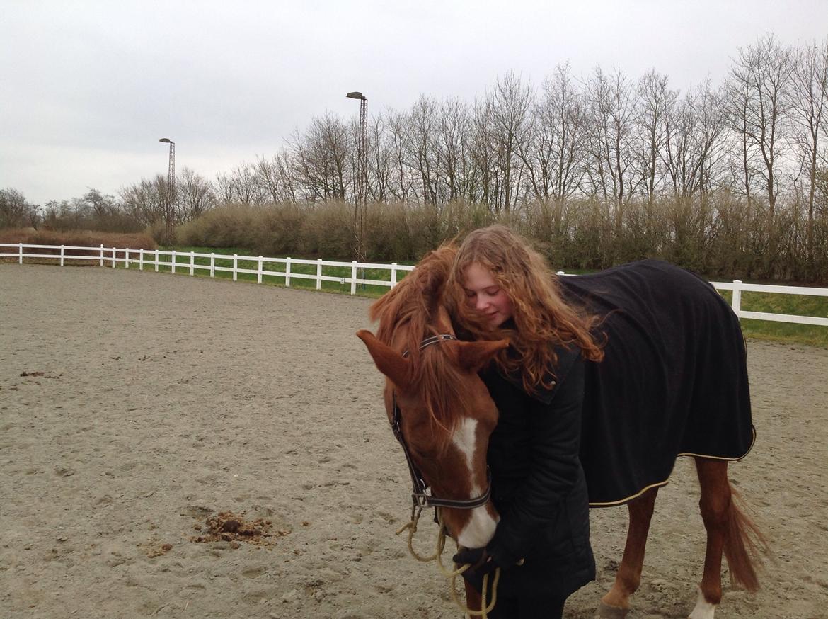 Anden særlig race Sascha - Januar 2014. billede 6