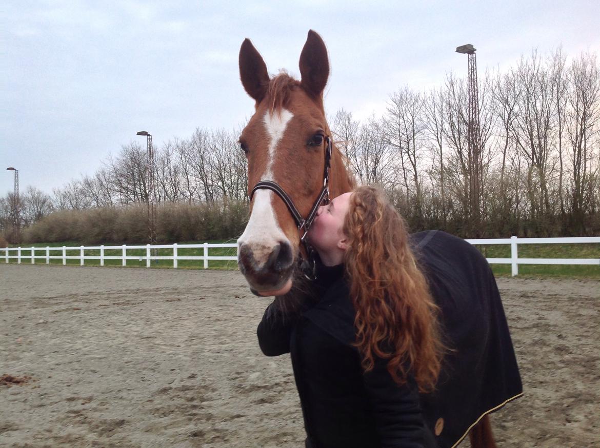 Anden særlig race Sascha - Januar 2014. billede 9