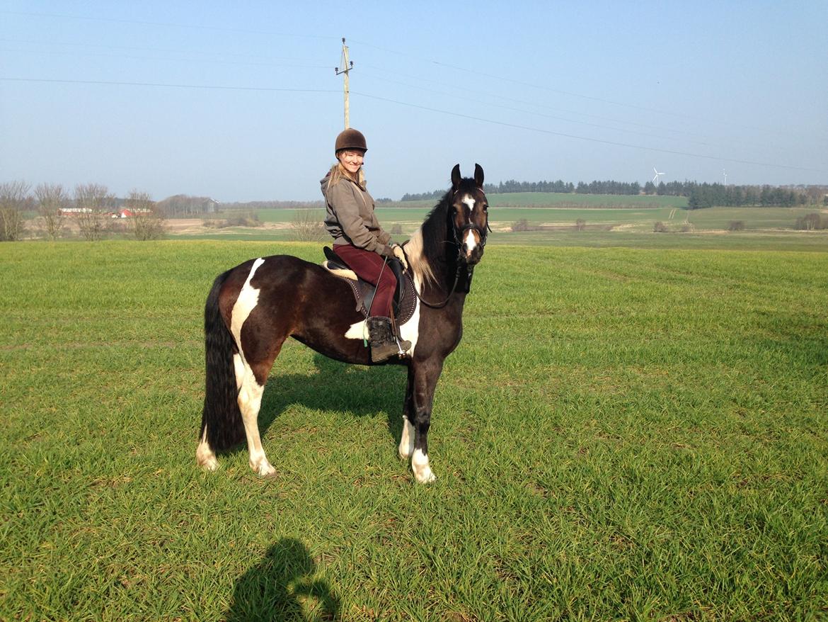 Barockpinto Valencia - Valle <3 - SOLGT - På tur :-) billede 2