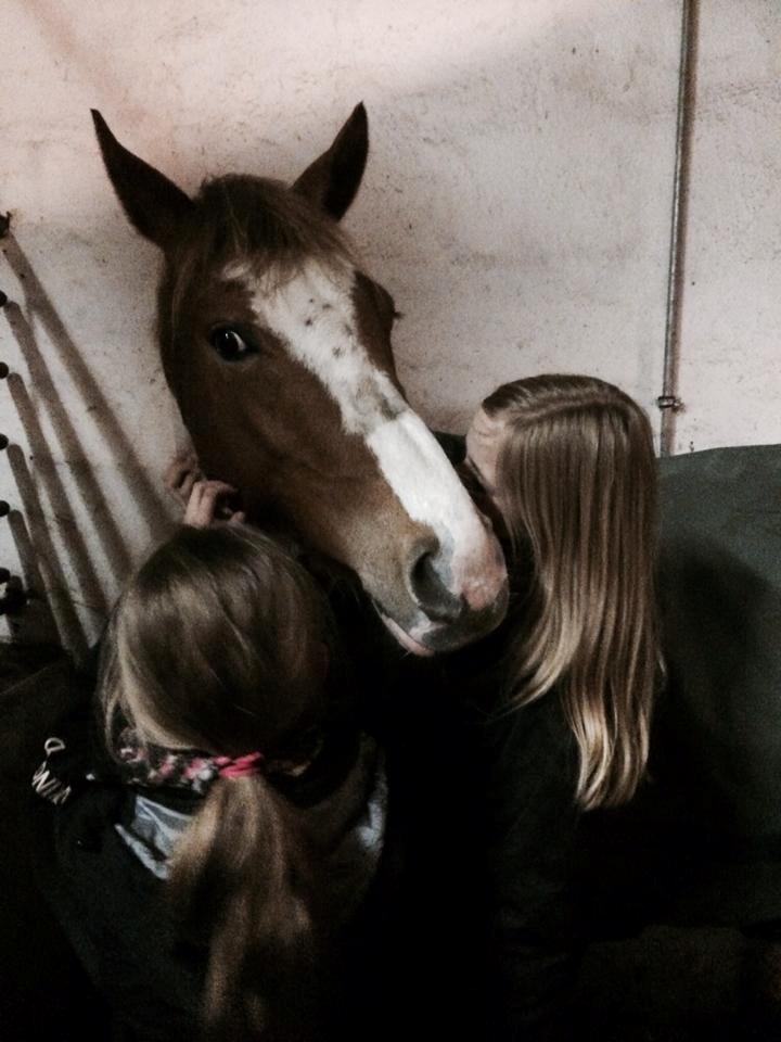 Pinto Lushira Højgård (Lusi) - Hun er så kærlig!<3  billede 3