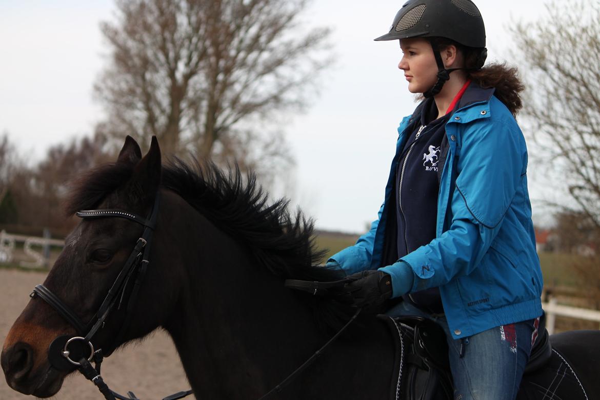 Hollandsk Sportspony NAPIRAI - D. 4/4-14.<3 billede 27