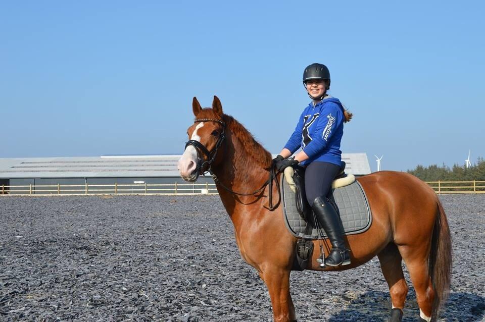 Anden særlig race Milando - Dejlig sommer træning. billede 7