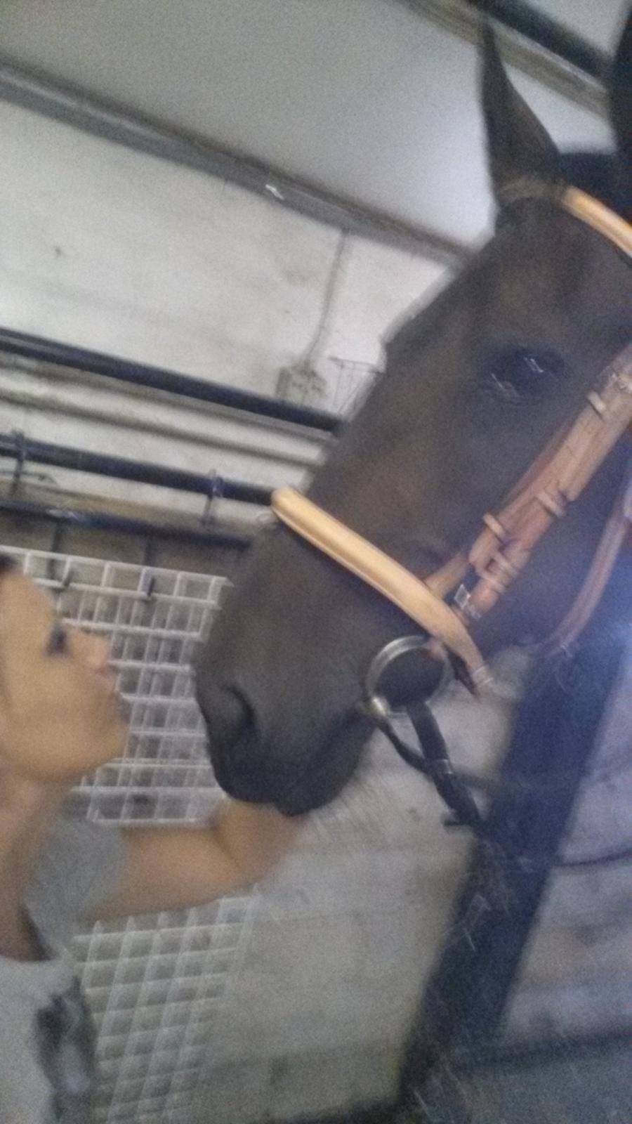 Traver Nikita ås billede 41