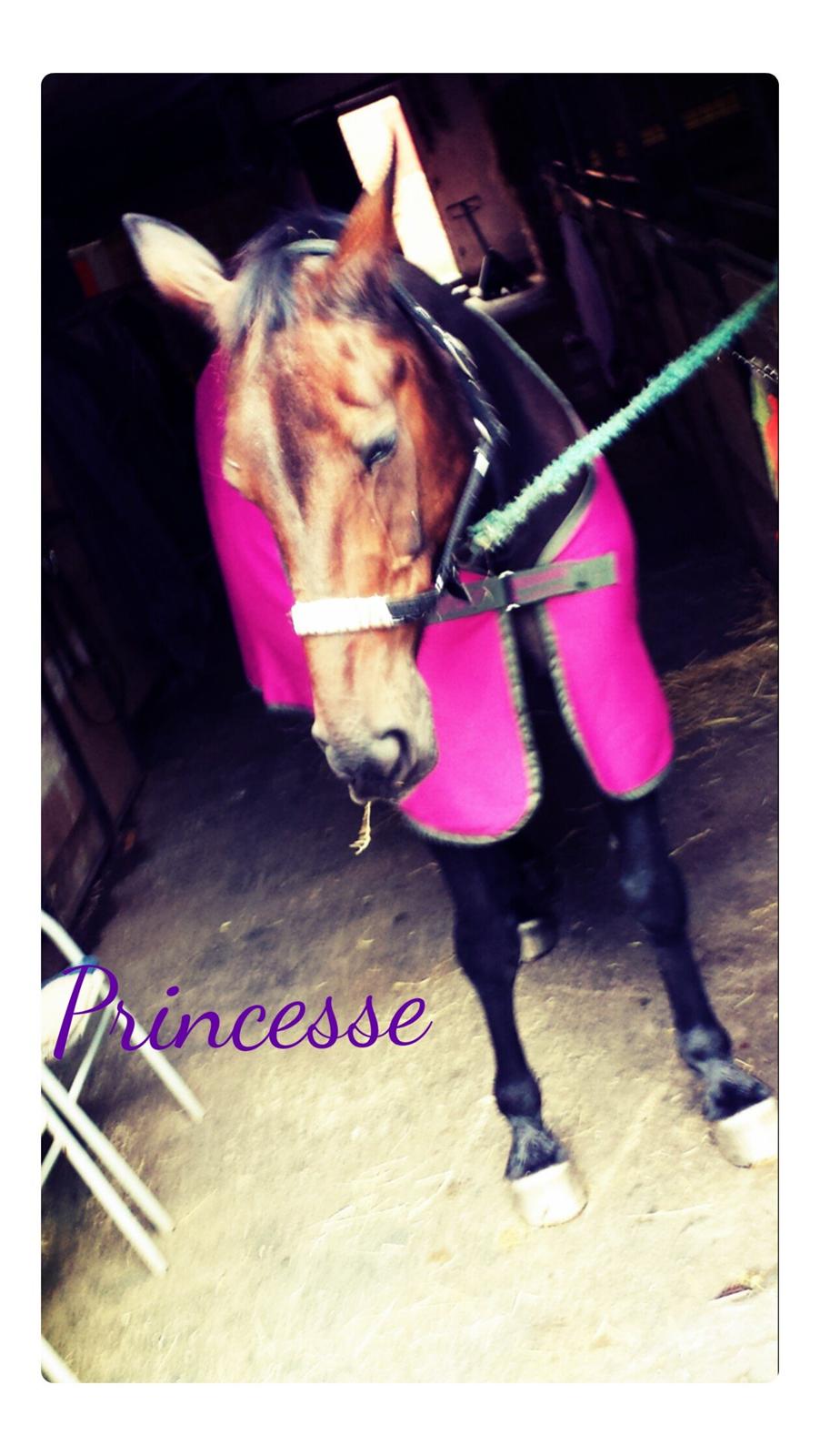 Traver Nikita ås billede 46