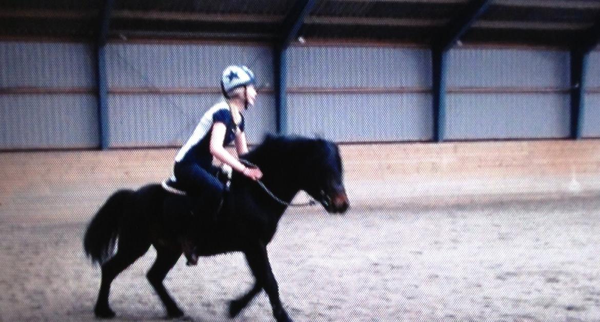 Dartmoor Anc-Neu Kao billede 18