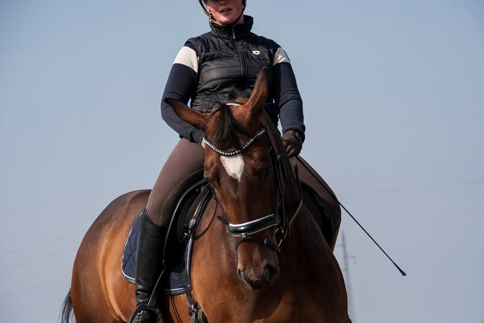 Holstener Cissè Qnego Z billede 10