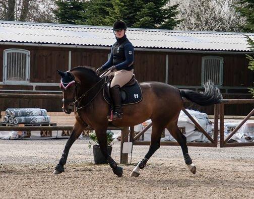 Holstener Cissè Qnego Z billede 1