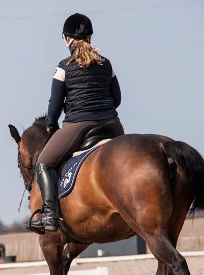 Holstener Cissè Qnego Z billede 13