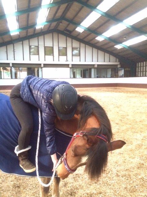 New Forest Picandt<3 *soulmate* - hygge:3 billede 9