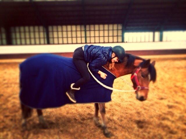 New Forest Picandt<3 *soulmate* billede 10