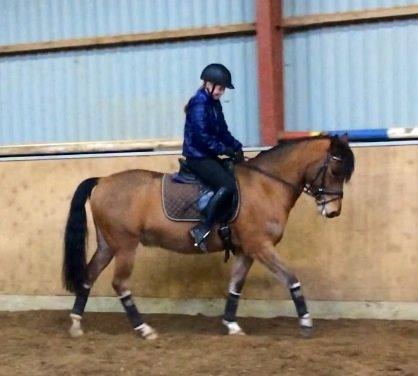 New Forest Picandt<3 *soulmate* billede 12