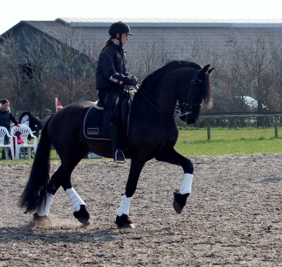 Frieser harmen billede 2