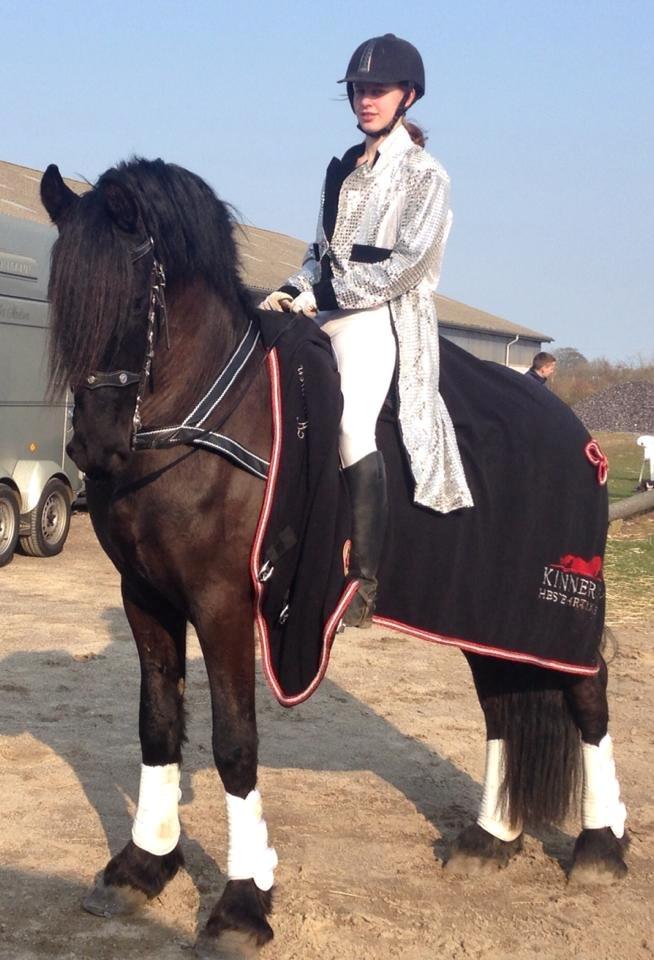 Frieser harmen billede 4