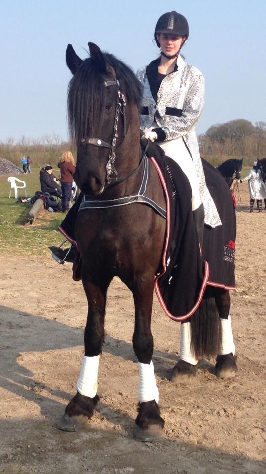 Frieser harmen billede 5